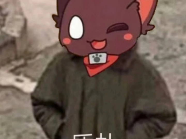 自制表情包……我绝对没有在水视频94