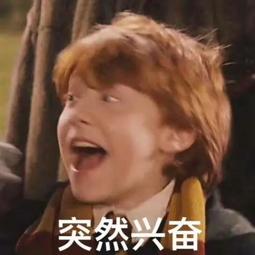 q:太太我想求hp封面小罗恩的表情包wwww-希斯hiss
