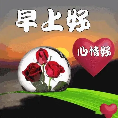 今日最新早上好表情大全感恩有你时光不老陪您永永远远