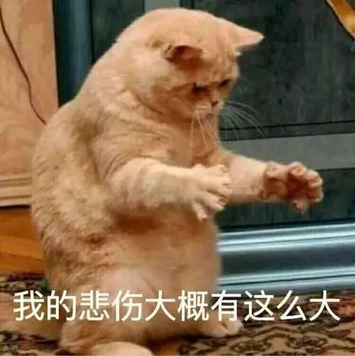 网络交友需谨慎!不然就是遭骗感情又遭骗钱,划不来