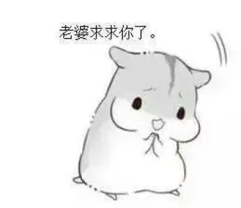 仓鼠撩老婆表情包