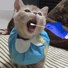 张嘴做核酸表情包合集