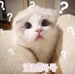 疑惑表情包欢迎自取
