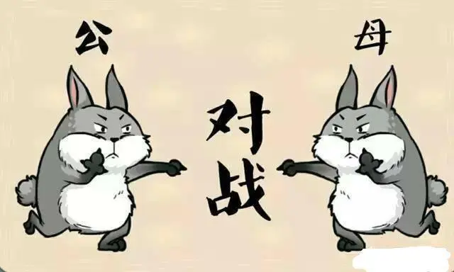 对战-斗图表情包-斗图神器-adoutu.com