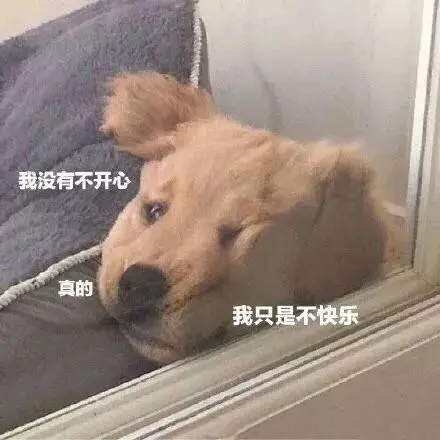 萌宠汪星人我没有不开心我只是不快乐呆萌可爱gif动图_动态图_表情包