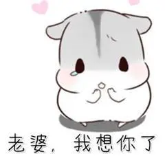 老婆表情包关于老婆的表情包仓鼠老婆系列表情包