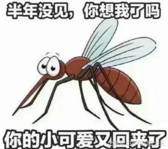 夏天快到了,又到了蚊子丰收的季节,教大家一个避蚊小妙招