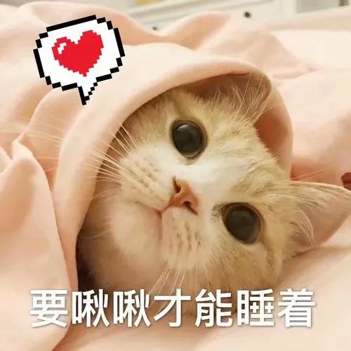 早安晚安
