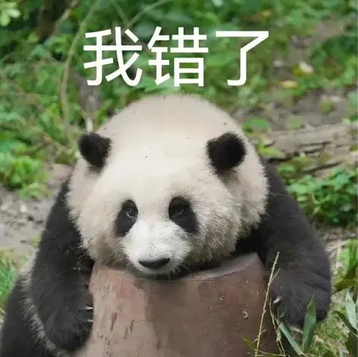 表情包来了大熊猫花花虔诚的干饭生活和我我错了委屈到变胖