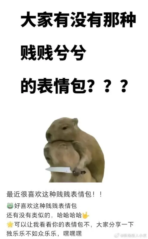 真的很喜欢这种贱兮兮的表情包##镜头下的笑容
