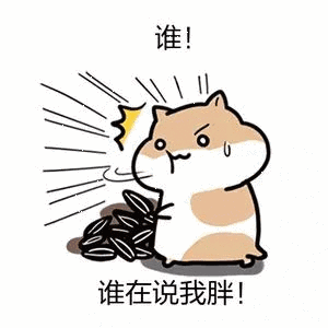 谁在说我胖(仓鼠)-斗图表情包-斗图神器-adoutu.com