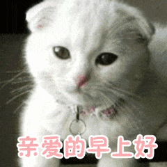 亲爱的早上好表情