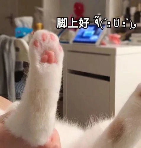表情包.