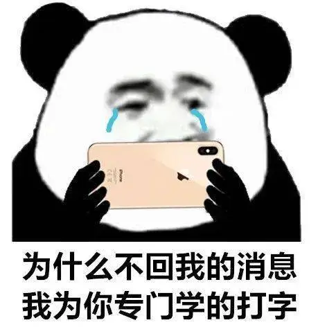 为什么不回我的消息,我为你专门学的打字