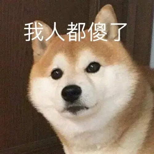 萌宠汪星人我人都傻了无奈呆萌可爱