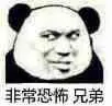 非常恐怖兄弟_恐怖_兄弟_非常表情