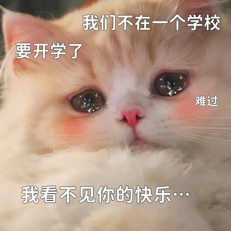 要开学了,我不在你身边,你不要喜欢上别人…#猫咪表情包#表-抖音