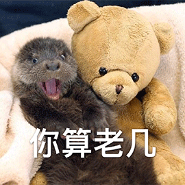 动物土拨鼠你算老几生气gif动图_动态图_表情包下载_soogif