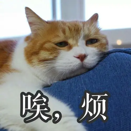 二叔微信搞笑的黑白色大叔图片表情包素材gif表情