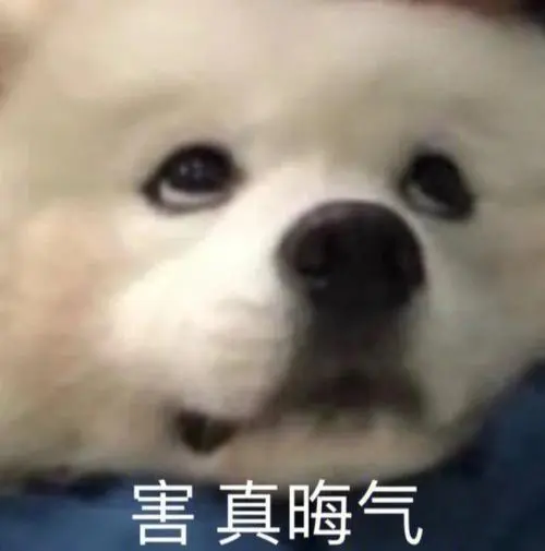 害真晦气狗狗表情包害真晦气狗狗表情