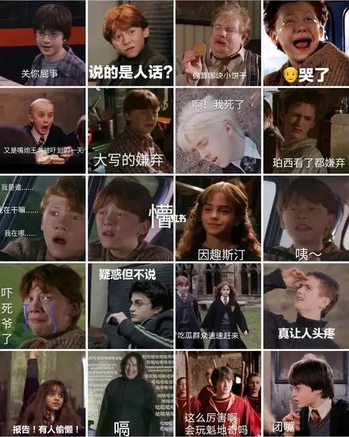 哈利波特表情包