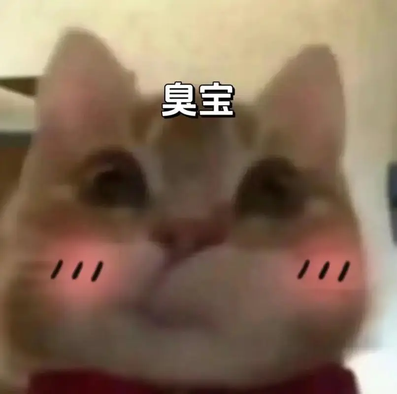 涩涩小猫咪表情包.原图抖音搜