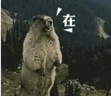 土拨鼠呐喊表情包