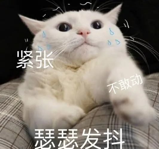 紧张瑟瑟发抖不敢动(喵星人表情包)_喵星人_瑟瑟_发抖_紧张表情