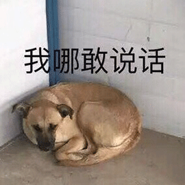 萌宠狗我哪敢说话害怕gif动图_动态图_表情包下载_soogif