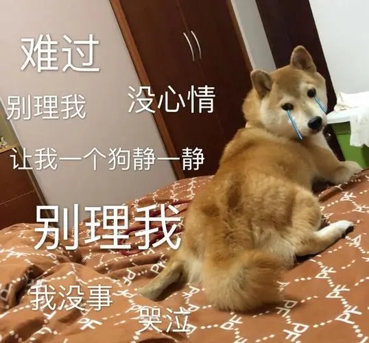 沙雕表情包图源微博