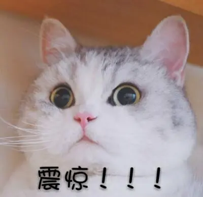 震惊表情包.