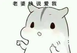 老婆快说爱我-斗图表情包-爱逗图