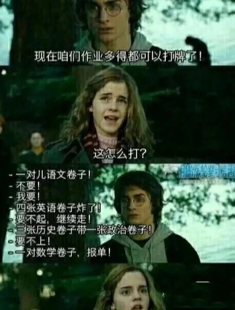 哈利波特表情包8