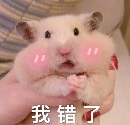 有哪些有意思的仓鼠图和仓鼠表情包