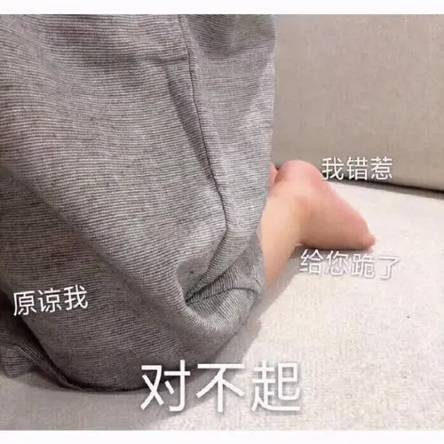 对不起原谅我qq表情包斗图表情