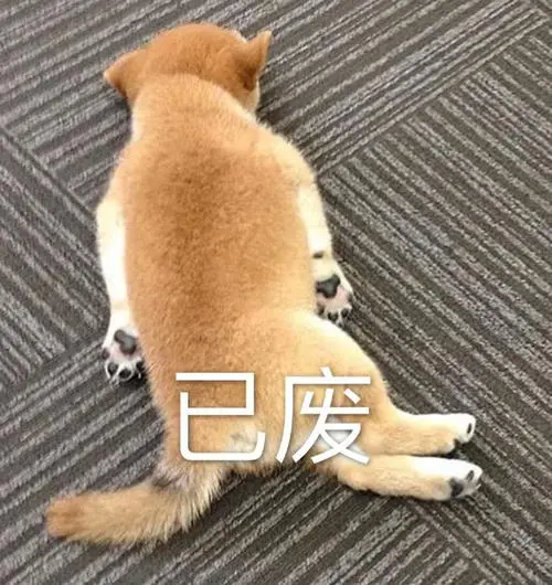 萌宠汪星人已废无奈呆萌可爱gif动图_动态图_表情包下载_soogif