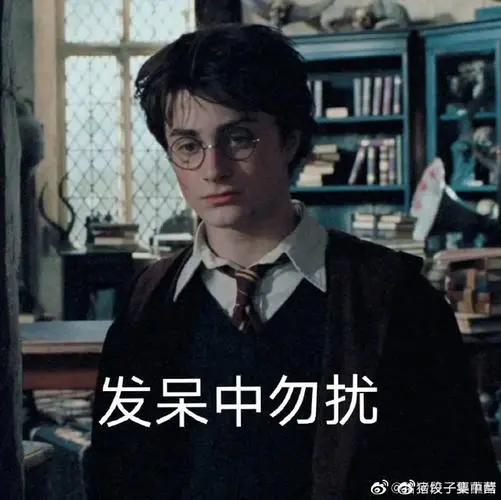 哈利波特继承了多少遗产#关于哈利波特表情包