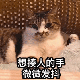 萌宠汪星人想揍人的人微微发抖呆萌可爱gif动图_动态图_表情包下载