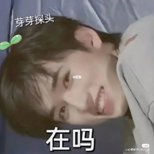 tnt表情包第十三弹
