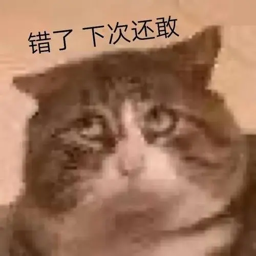 错了下次还敢(喵星人表情包)