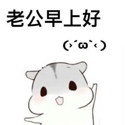 老公早上好()-ㄇㄚˊ几兔向老公撒娇系列_撩妹撩汉表情