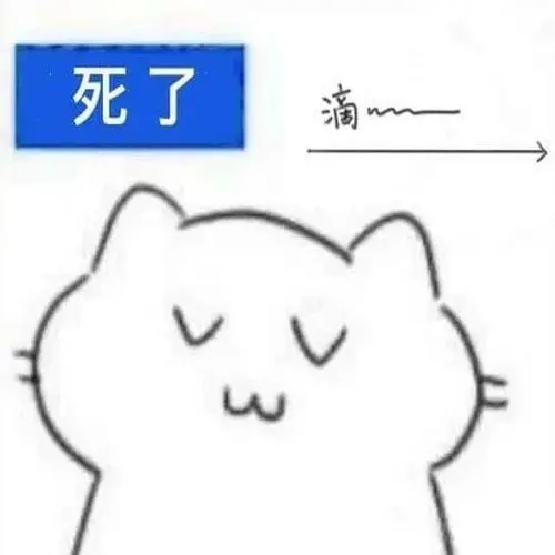 死了滴滴肥肥猫猫表情包67斗图表情