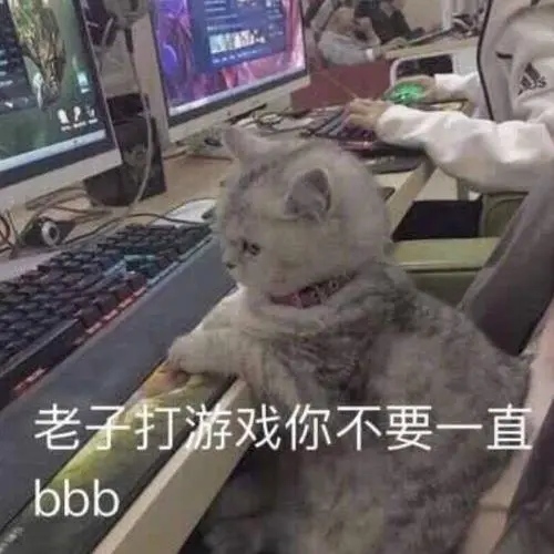 老子打游戏你不要一直bbb一直不要老子打游戏bbb表情
