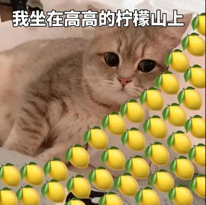 酸了#表情包#行走-抖音