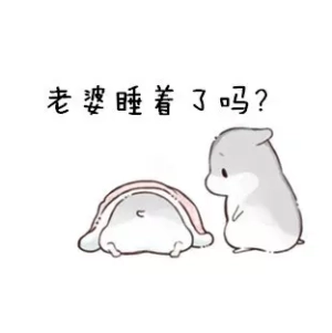 小仓鼠老公和老婆之间互相撒娇的表情包