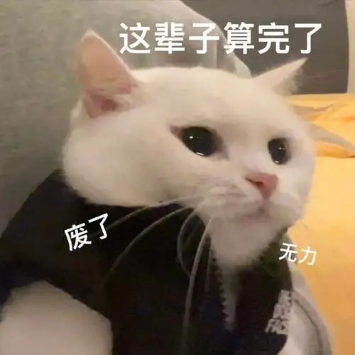 热门表情包原图精选(13个表情)-2022/05/02