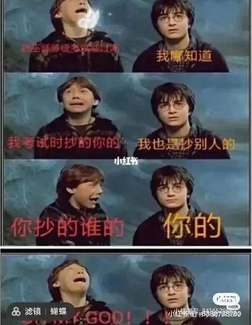 哈利波特表情包7
