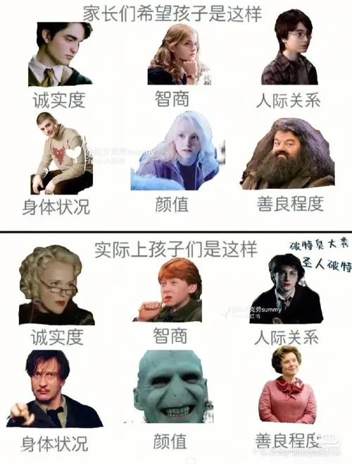 哈利波特搞笑表情包