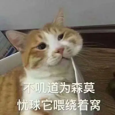 壁纸心累