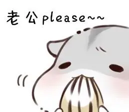 老公please-萌萌哒仓鼠表情_装逼_可爱_萌萌哒表情